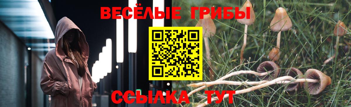 Псилоцибиновые грибы GOLDEN TEACHER  Вход с VPN  Стрежевой 